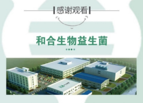 《即食益生菌食品》團體標準正式發(fā)布，和合生物助力行業(yè)標準化創(chuàng)新！